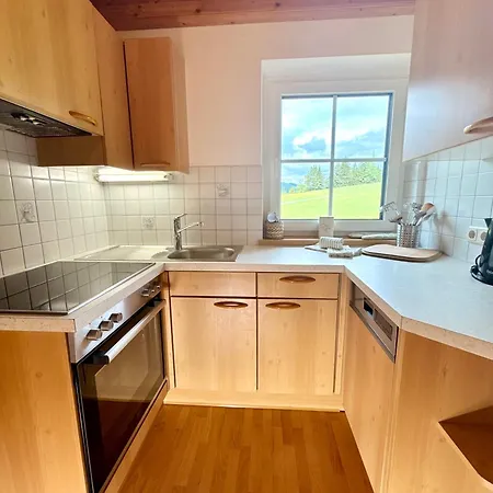 Appartement Ederbauer Leogang